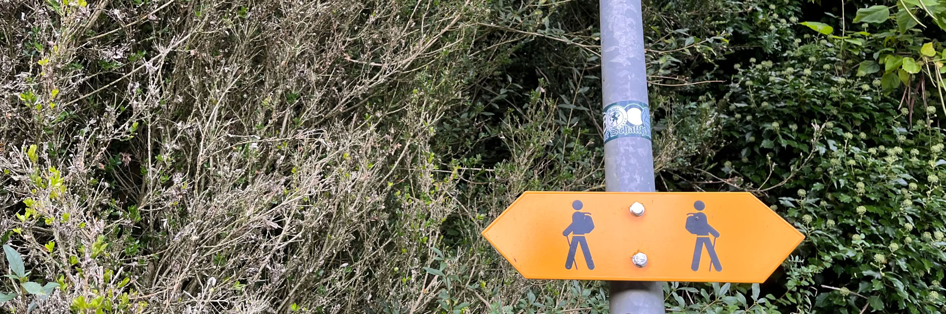 N-Trail Wegbeschreibung
